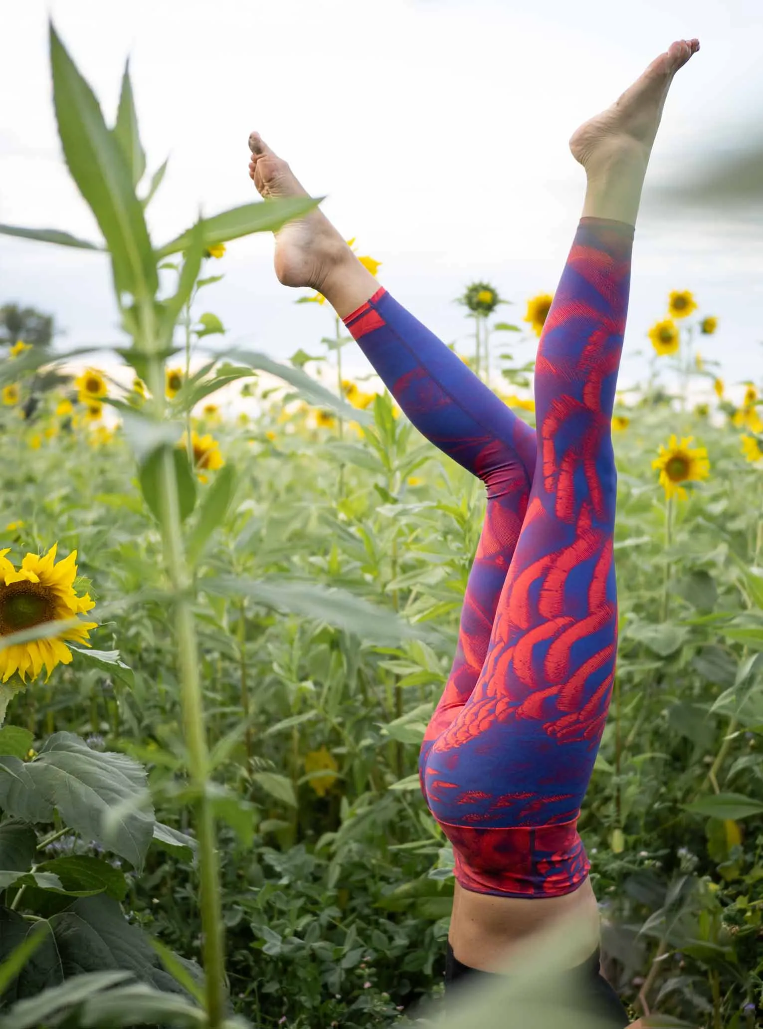Yoga Leggings PURPLE BIRD
